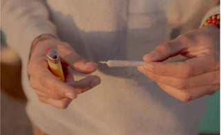 Why a Dry Herb Vaporizer is Better Than Smoking Joints - AUXO